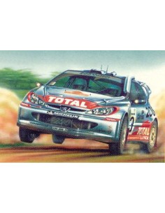 Peugeot 206 WRC 02