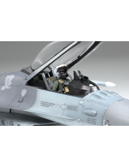 Lockheed Martin F-16CJ - (Block 50) Fighting Falcon