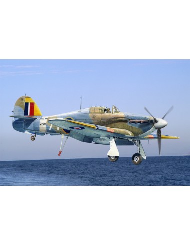 British Sea Hurricane