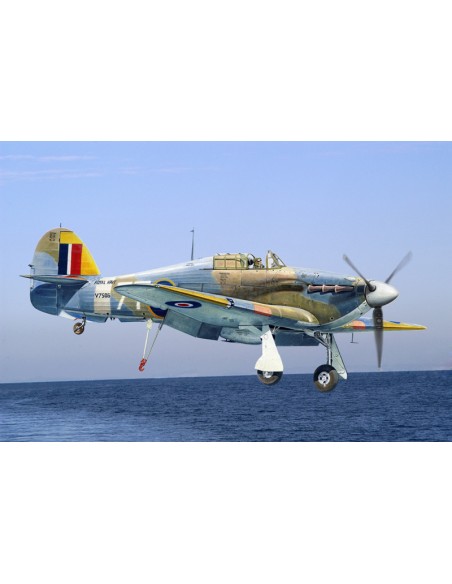 British Sea Hurricane