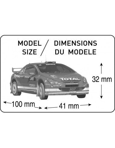 Peugeot 307 WRC 04   1/43