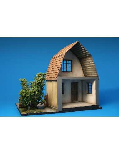 Village house with base