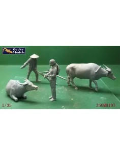 60'-70's Farming In Vietnam 2