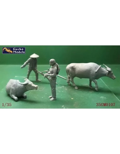 60'-70's Farming In Vietnam