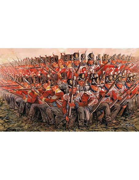 British Infantry 1815