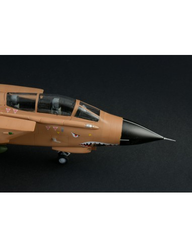 Tornado Gr.1/IDS War Thunder Special Bonus