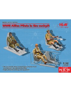 WWII Allies Pilots in the cockpit (British, American,...