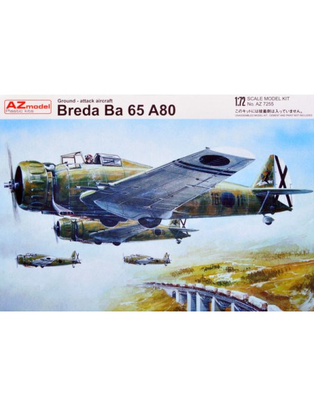 Italian ground-attack plane Breda 65 A-80 (Spanish and Italian service)