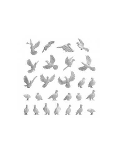 PALOMAS