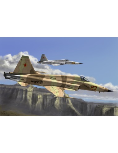 F-5E Tiger II fighter