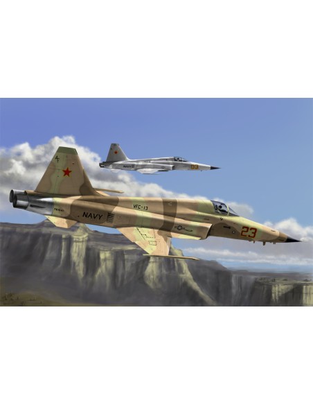 F-5E Tiger II fighter