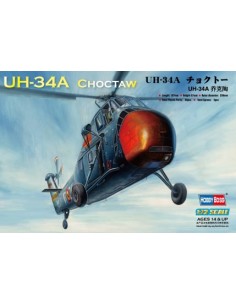 American UH-34A Choctaw