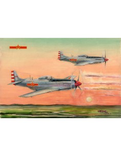 PLAAF P-51 D/K Mustang Fighter