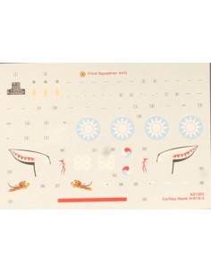 American fighter Curtiss P40B Warhawk 2