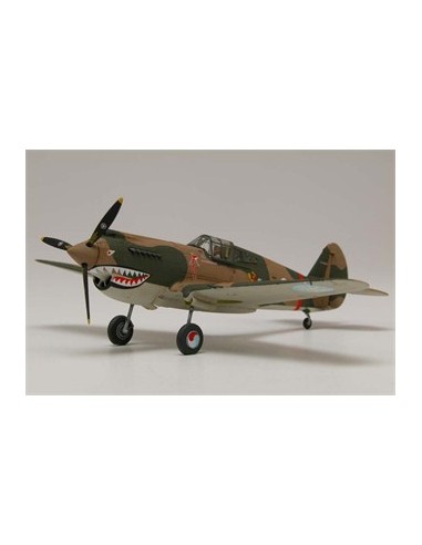 American fighter Curtiss P40B Warhawk