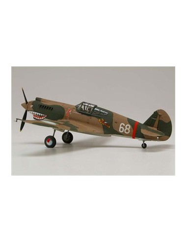 American fighter Curtiss P40B Warhawk