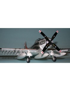 Douglas A-1H Skyraider U.S. Navy 2