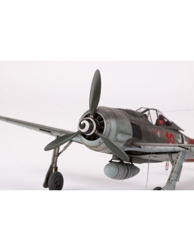 Fw 190A-8 ProfiPACK edition MAS EXTRAS MIRAR...