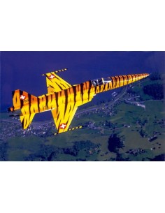 F-5 E Swiss Tiger