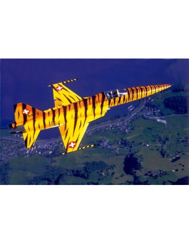 F-5 E Swiss Tiger