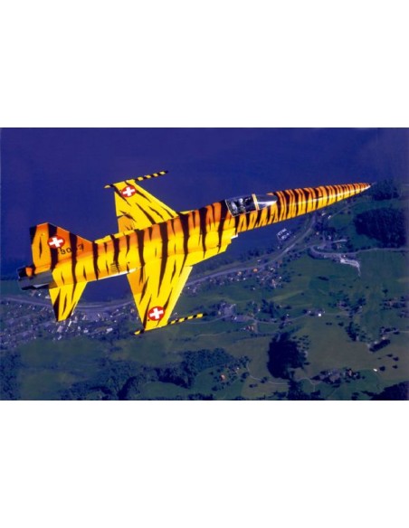 F-5 E Swiss Tiger