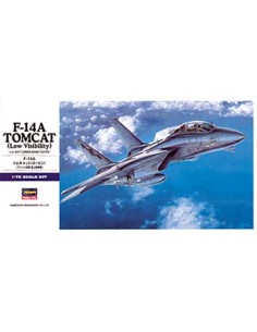F-14A Tomcat (low)
