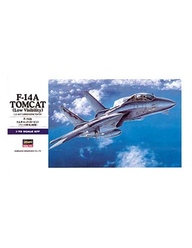 F-14A Tomcat (low)