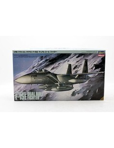 F-15E Dual Role Fighter