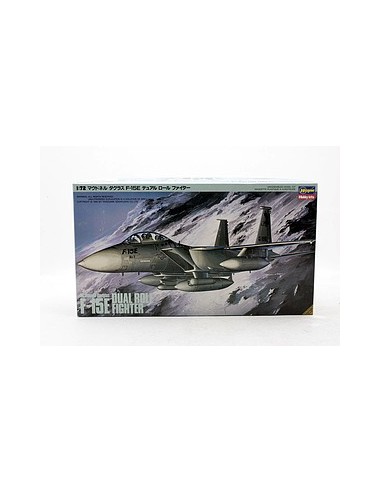 F-15E Dual Role Fighter