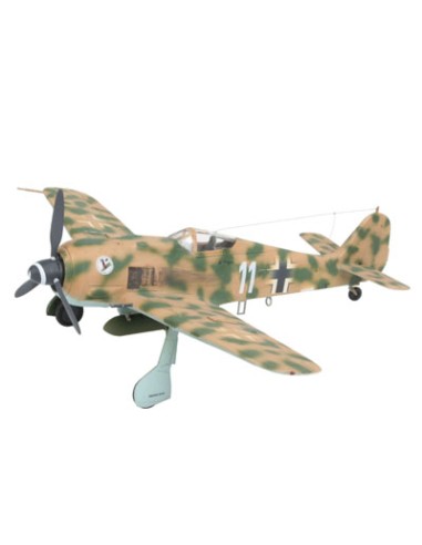 Focke Wulf Fw 190F-8 & Bv 246 Hagelkorn