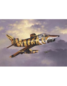 Fiat G-91 Tigermeet (Portugal)