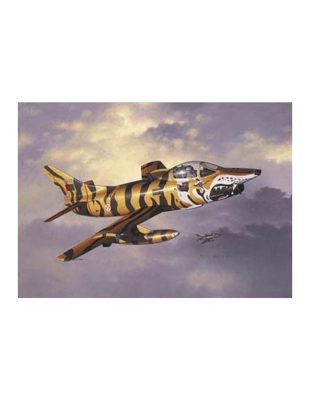 Fiat G-91 Tigermeet (Portugal)