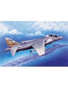 McDD/BAe Harrier II TAV-88/T10 2