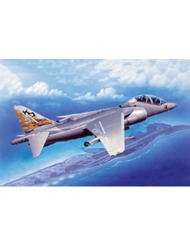 McDD/BAe Harrier II TAV-88/T10