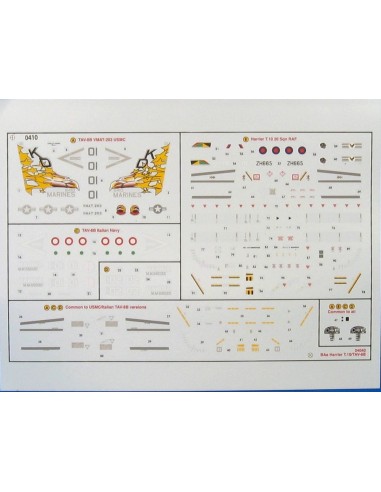 McDD/BAe Harrier II TAV-88/T10