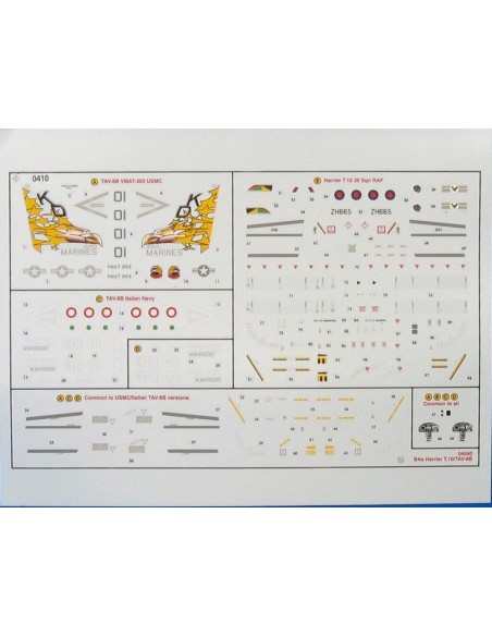 McDD/BAe Harrier II TAV-88/T10
