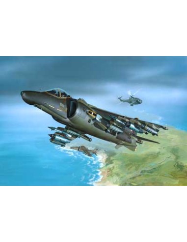 BAe Harrier GR 5