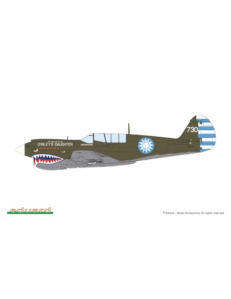 15,000th P-40N Warhawk - The Limited Edition