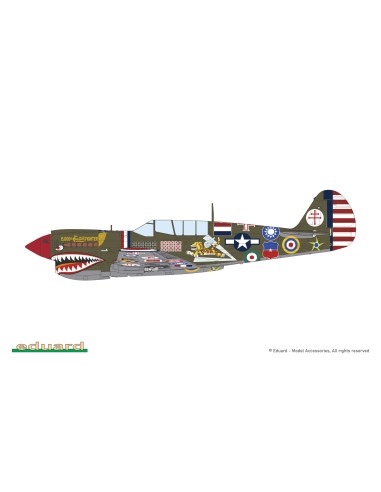 15,000th P-40N Warhawk - The Limited Edition