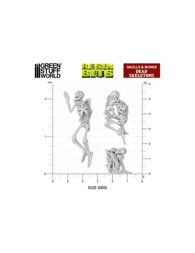 Esqueletos humanos 1:35