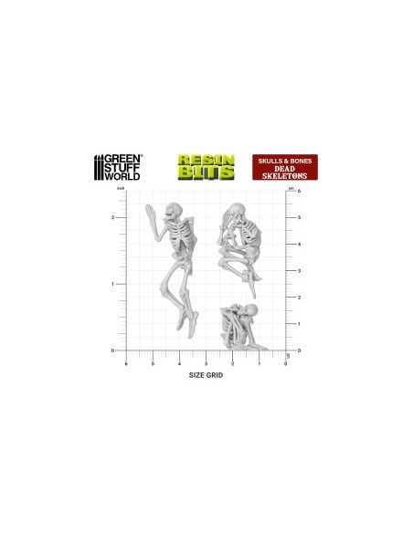 Esqueletos humanos 1:35