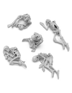 Esqueletos humanos 1:35