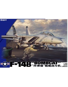 Grumman F-14 B Bombcat in US Navy