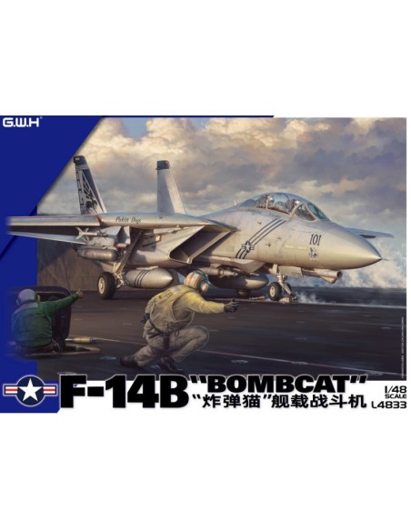 Grumman F-14 B Bombcat in US Navy