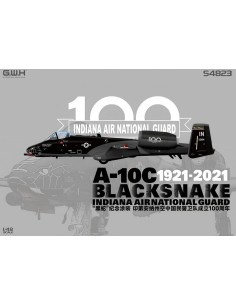 A-10C Blacksnake Indiana Air National Guard 1921-2021