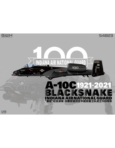 A-10C Blacksnake Indiana Air National Guard 1921-2021