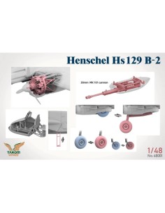 Henschel Hs 129 B-2 With Interior 2