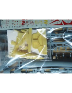 Dassault Mirage IIICJ Shahak 2