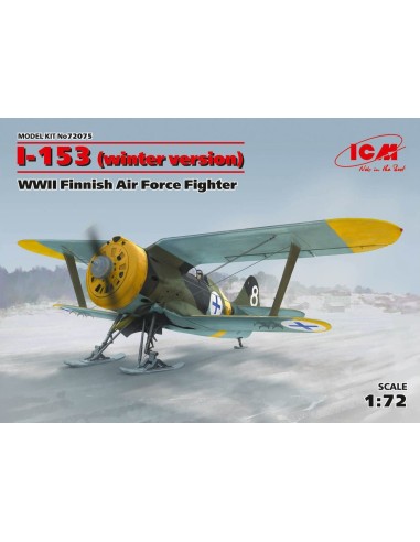 I-153 Finish Air Force
