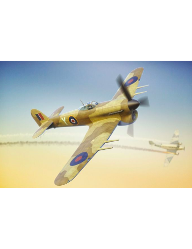 Typhoon Mk Ib Car Doors-Desert and Luftwaffe...